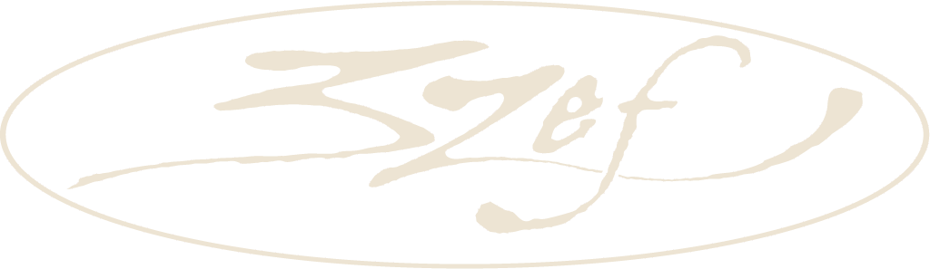 Logo 3ZEF